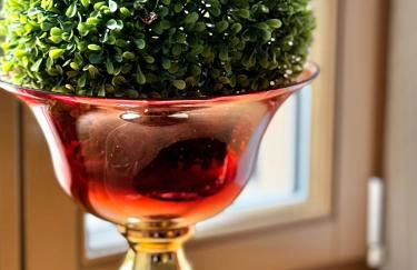 Harz Huus Apartment "Tanne" - Foto 6