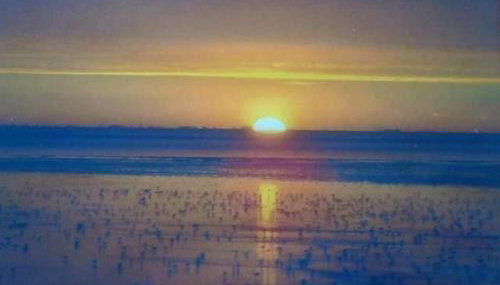 Premium Caravan - Sleeps 6 - Parking - Pool - Foto 3