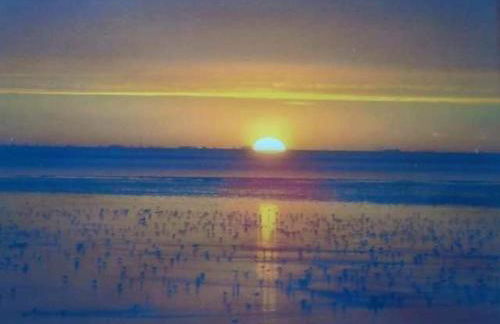 Premium Caravan - Sleeps 6 - Parking - Pool - Foto 3