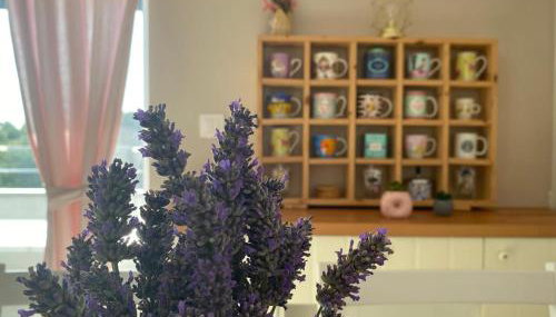 MINT&ROSE - Foto 3