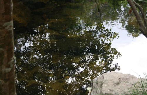 Retiro Da Arminda - Foto 78