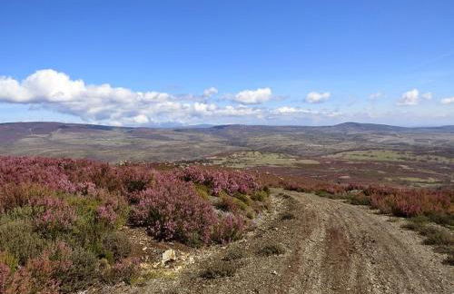 La casa de Rosa - Foto 63