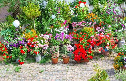 Landhaus Christina - Foto 16