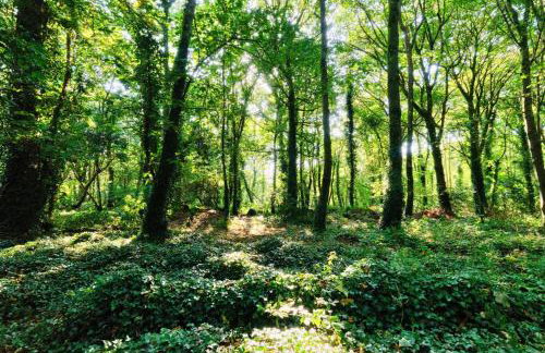 Finest Retreats - Joyful Cottage - Foto 20