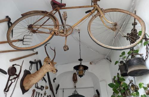 Casa Museo Jerez Centro - Foto 41