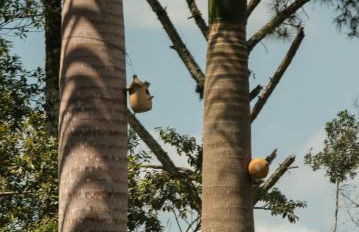 Pousada Nonno Marquetti - Foto 15