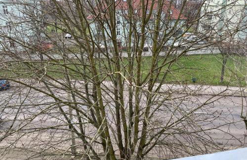 BEIMS APARTMENT-Vollausstattung-Küche, kostenlos-WFI, Smart-TV - Foto 18