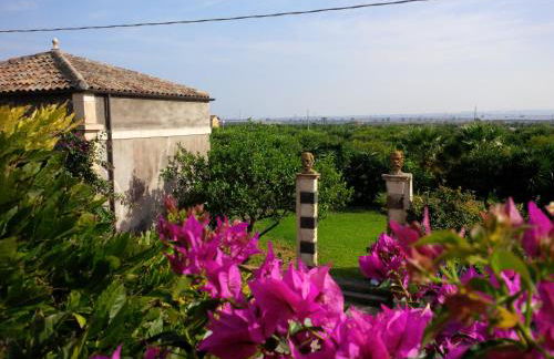 Tenuta del Gelso - Foto 61