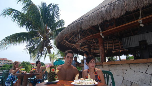 Dolphin Royal Connection en Puerto Aventuras - Foto 2