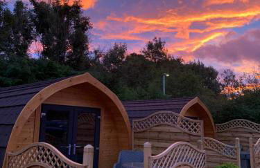 Conifer Cabins - Photo 29