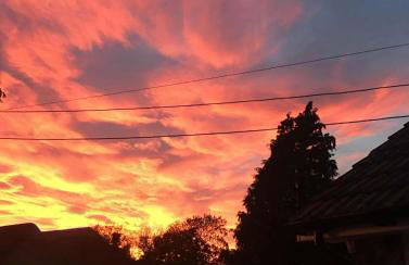 Tumbleweed 3 - Photo 15