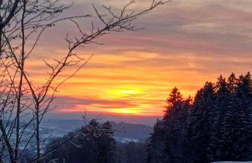 Bayerwaldtiny - Foto 13