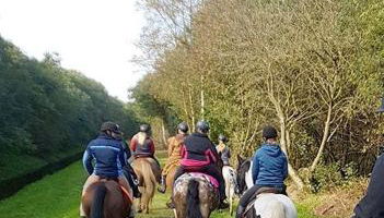 Ferienwohnung im Fehnland 25197 - Foto 3