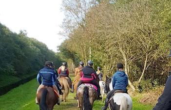 Ferienwohnung im Fehnland 25197 - Foto 3