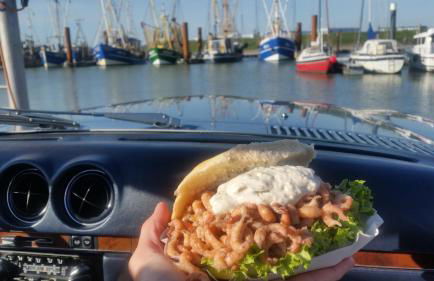 Urlaubsoase und Meehr - Foto 22