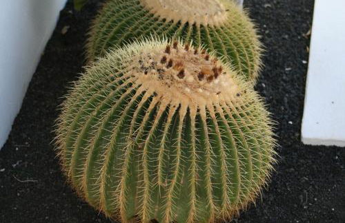 Apartamentos Villa Canaima - Foto 114