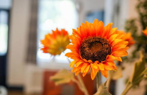 The cottage near the castle - Foto 49