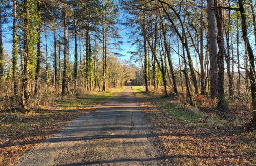 Charming House between Lot & Dordogne with Private Pool - Foto 72