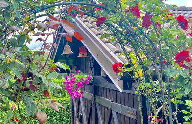 Casa Pallanch - Foto 37