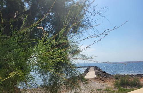 Ferienwohnung Lika - Foto 25