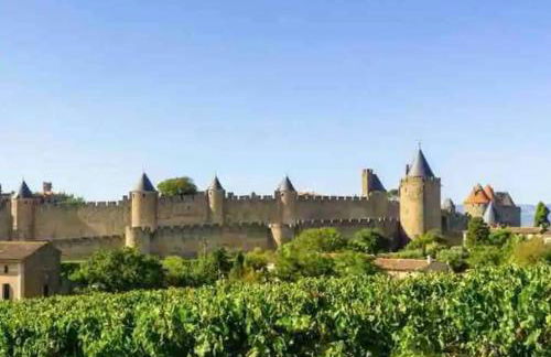 Appartement T2 avec vue château - Foto 2