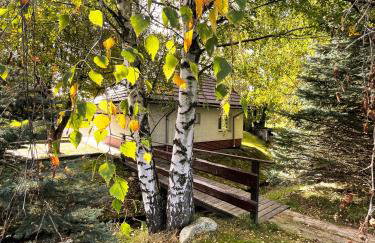 Domki nad strumykiem - Foto 15