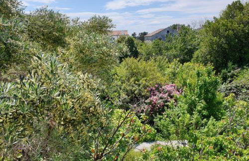 Apartments Stella Apsyrtides - Foto 25