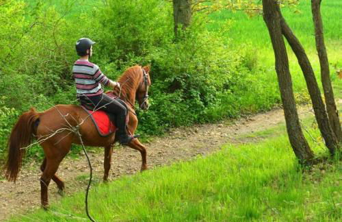 Chambres Senonches centre-ville - Foto 52