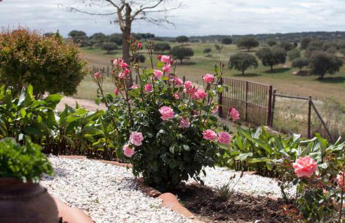 Herdade das Pintas - Foto 22