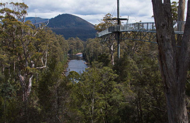 Excursion dans la vallée de Huon et aux grottes d'Hastings - Photo 7