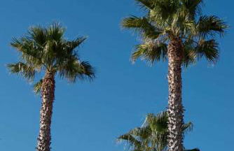 Ferienhaus in Vasia Imperia für bis zu 4 Personen - Foto 56