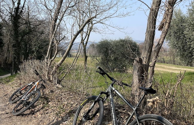 Barchi Resort - Apartments & Suites - Foto 53