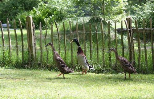 Ostehof Weertzen - Foto 19
