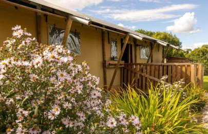 Luxury Safari Lodge-Sleeps 4 6-Deer Park-Dogs Ok - Foto 38