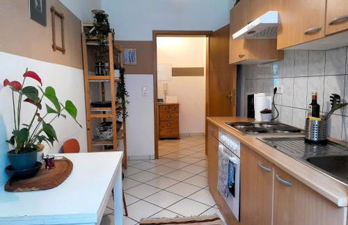 Spacious Home in Old-West - Leutsch - Foto 22