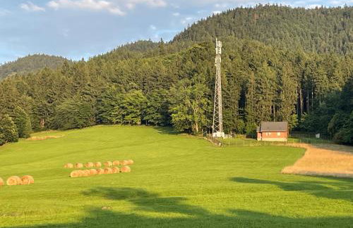 Słoneczne Apartamenty - Foto 54