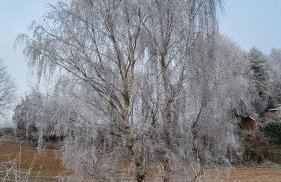 Czarnydomek - Foto 31