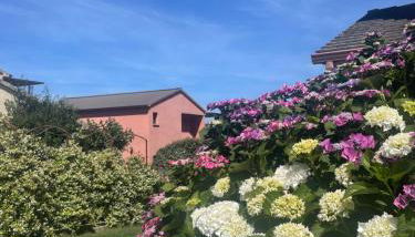 Studio avec piscine - Foto 4, Garden