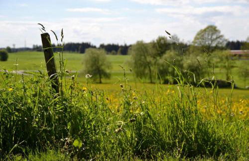 Tannenhof Epple - Foto 9