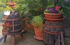 Affittacamere La Corte di Quiliano - Foto 61