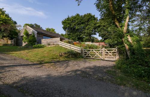 Black Cat Bach - Foto 30