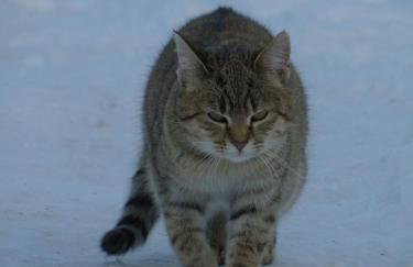 Stajnia Lisewo - Foto 20