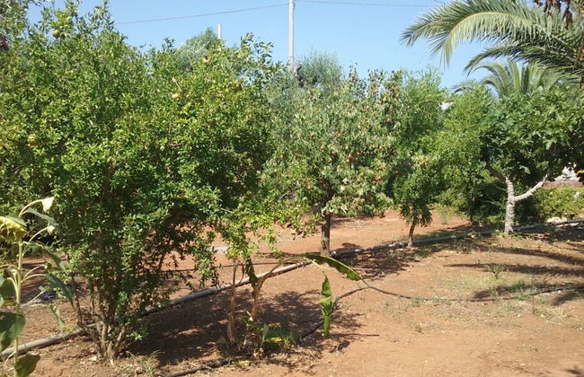 Villetta Gloria - Foto 24