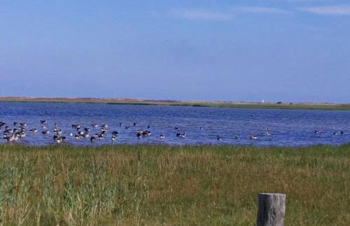 Ferienappartements Marina Wendtorf an der Ostsee - Foto 27