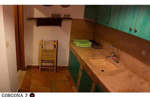 Medusa Gorgon - Photo 39