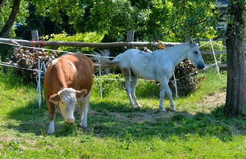 Beautiful Home In Seketin With Sauna - Foto 21