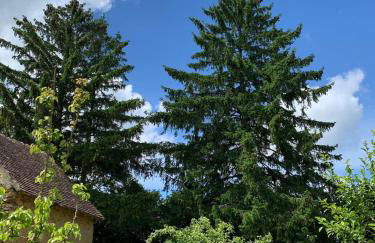 Superbe Maison au coeur du Perche - Foto 28