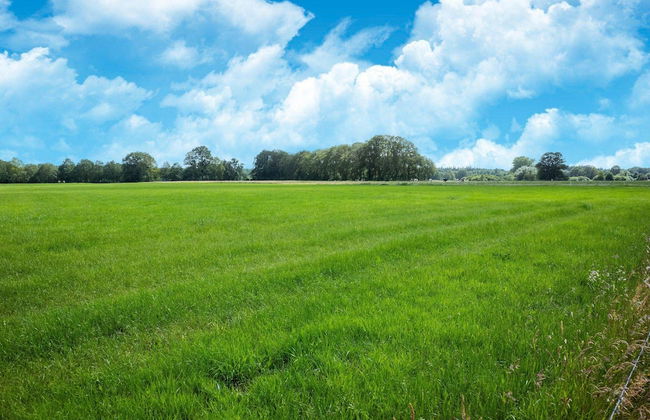 Chalet in Stegeren Near Heathlands - Photo 35