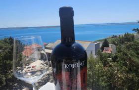 LOOK Smokvica Pag Apartmani - Foto 77