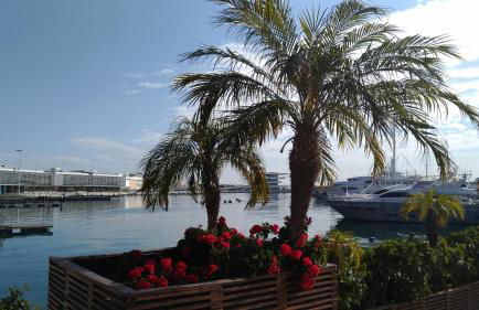 Casa de Maria - Foto 30